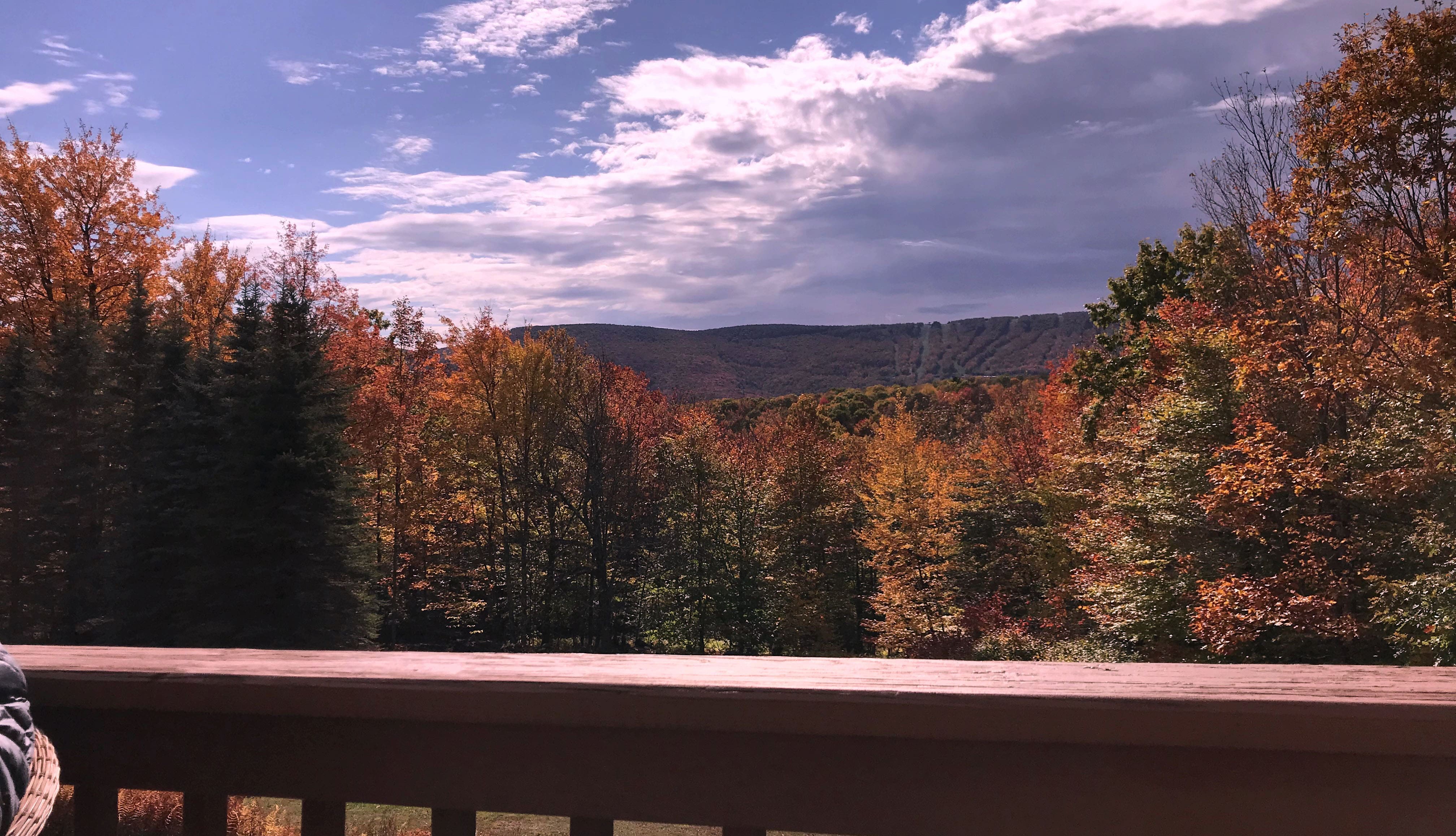 Amazing Autumn Views from the deck!