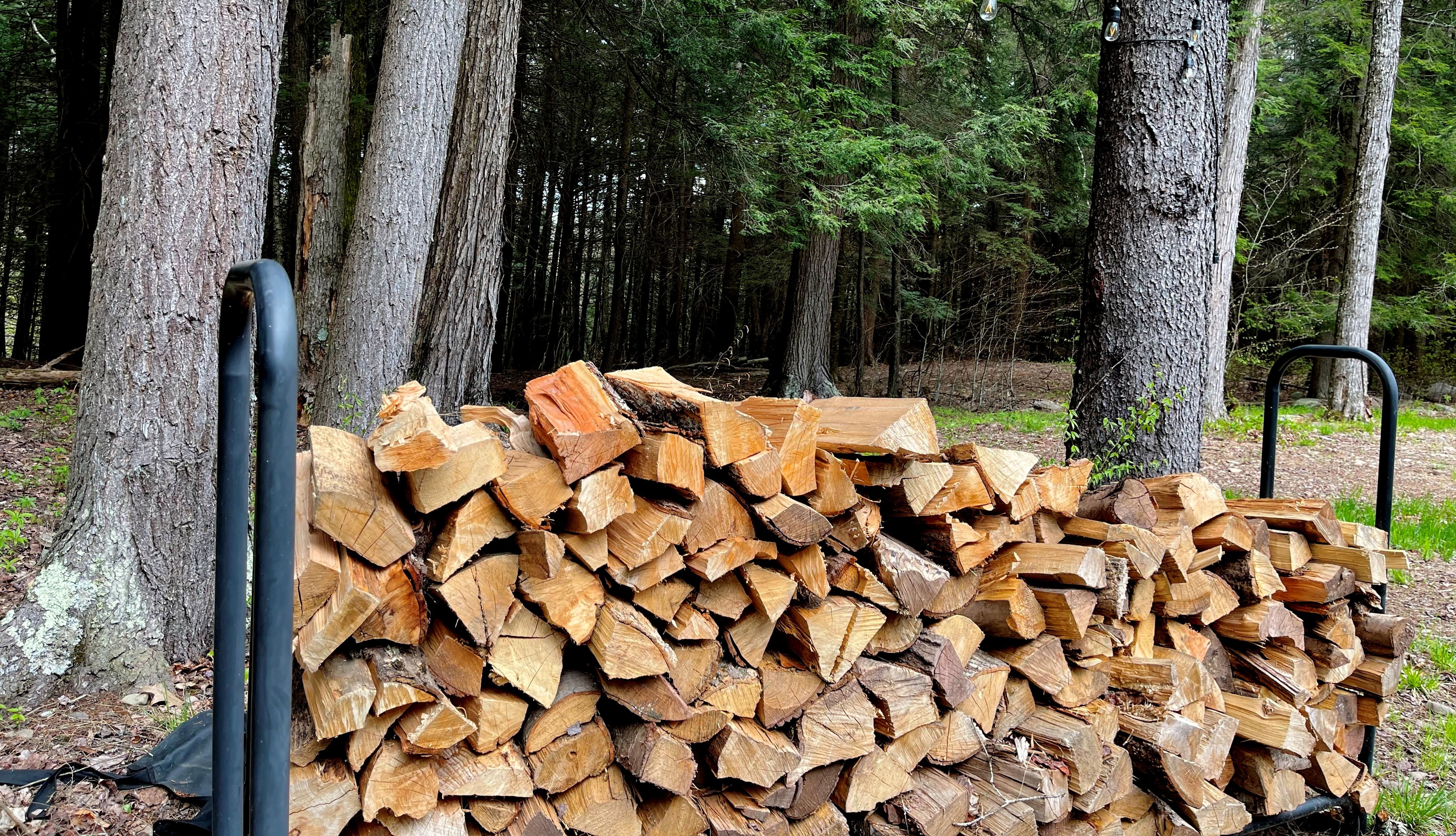 Plenty of wood for the wood stove and fire pit!