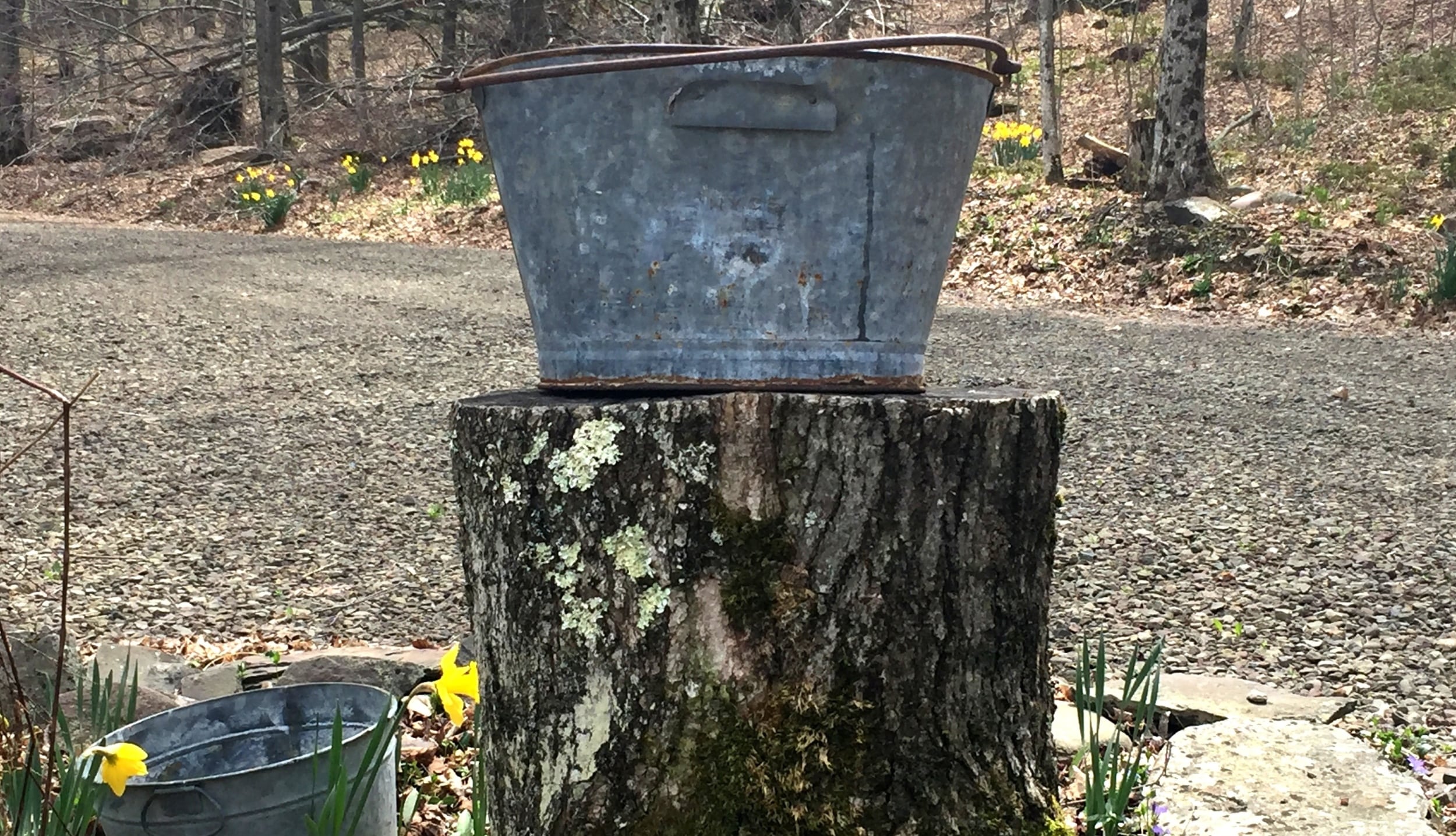 Spring comes to the Catskills