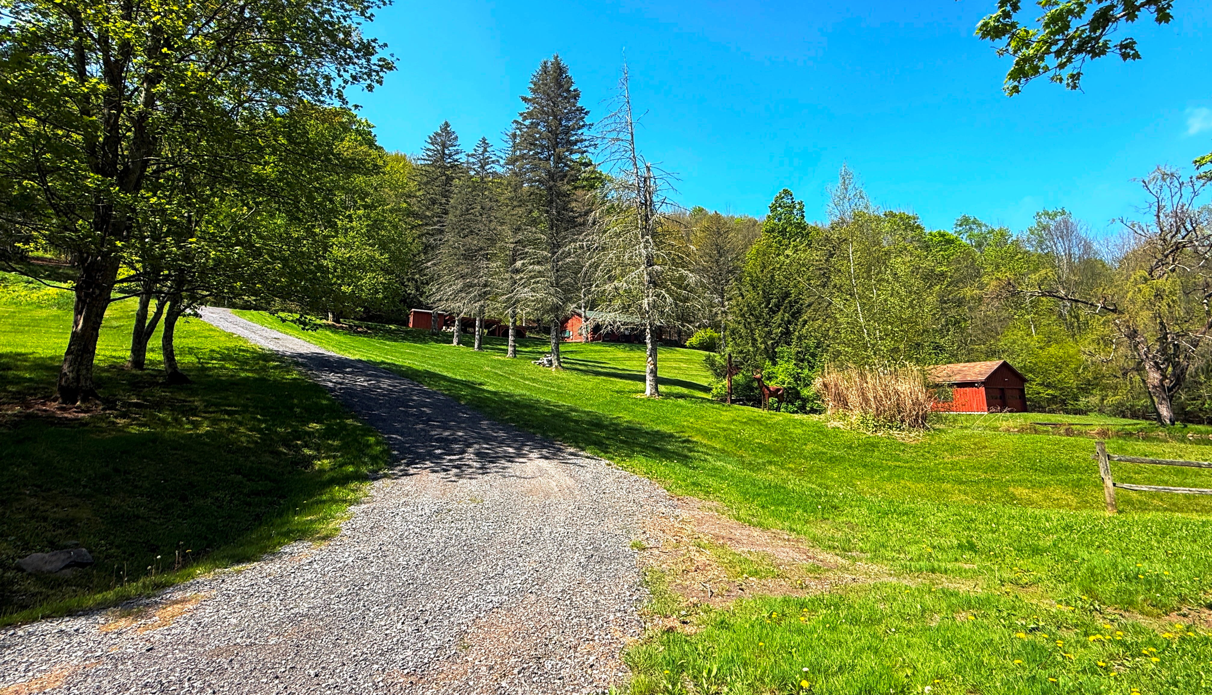 Then up the driveway to the house!