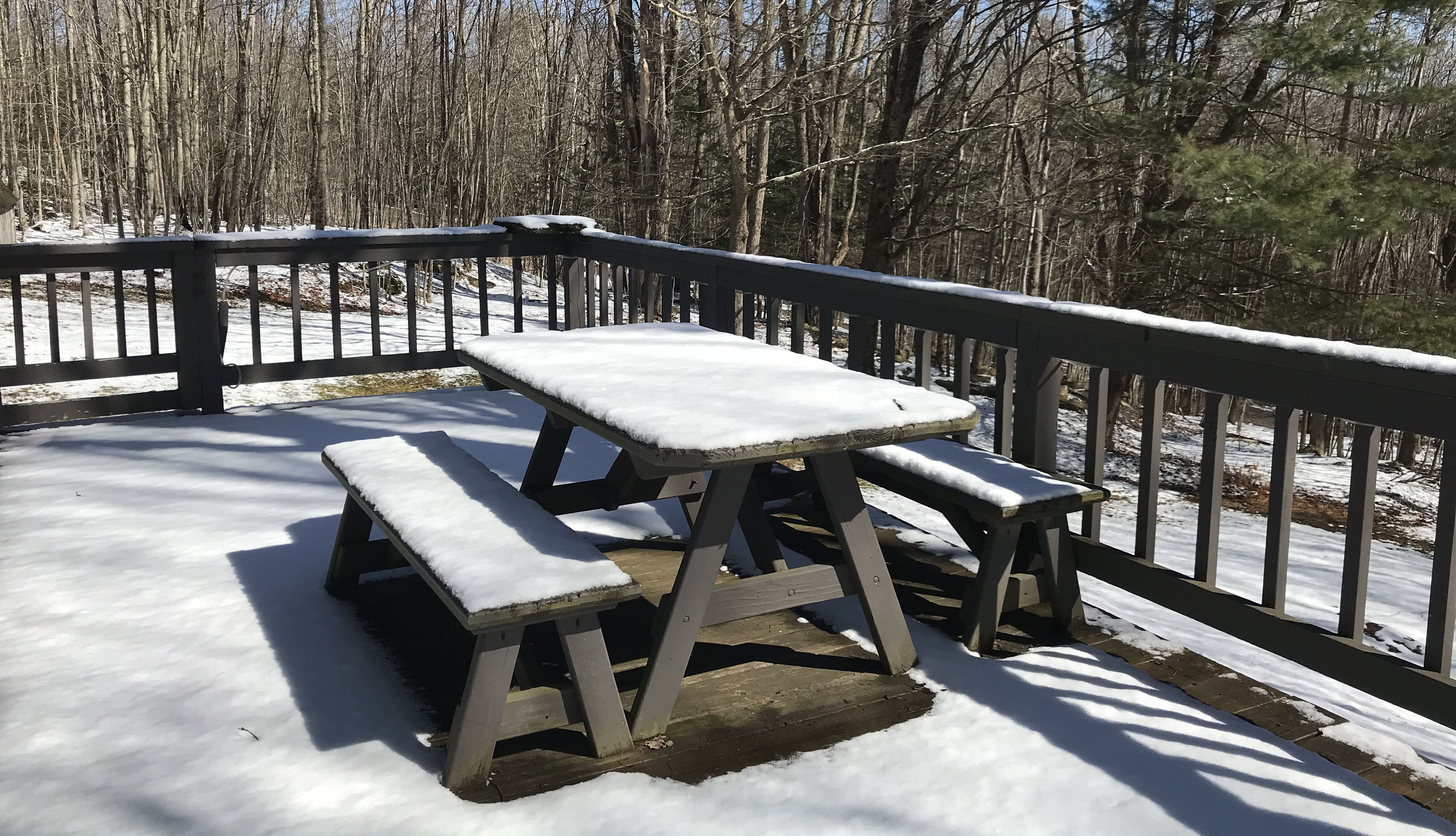 Winter on the deck!